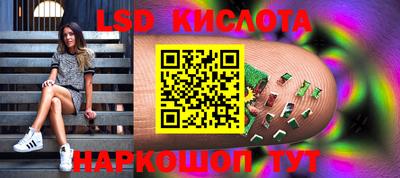 СК Рыбинск