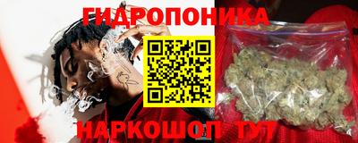 СК Рыбинск