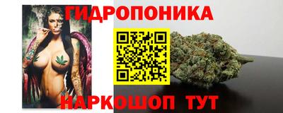 СК Рыбинск